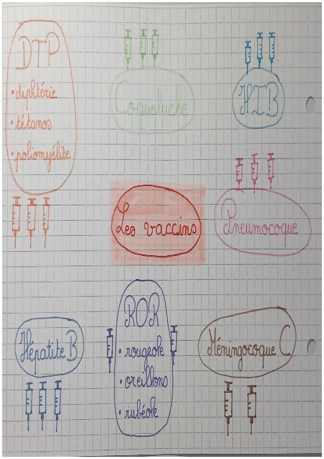 Les vaccins obligatoires CAP AEPE