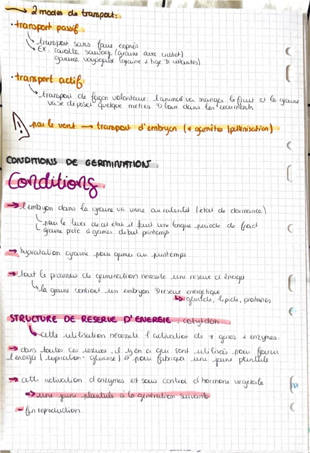La reproduction
2mocles: sexuée | asexuée
REPRODUCTION ASEXUÉE LA TOTIPOTENCE
DES VEGETAUX
7 repose sur la totipotence & croissance indiforc