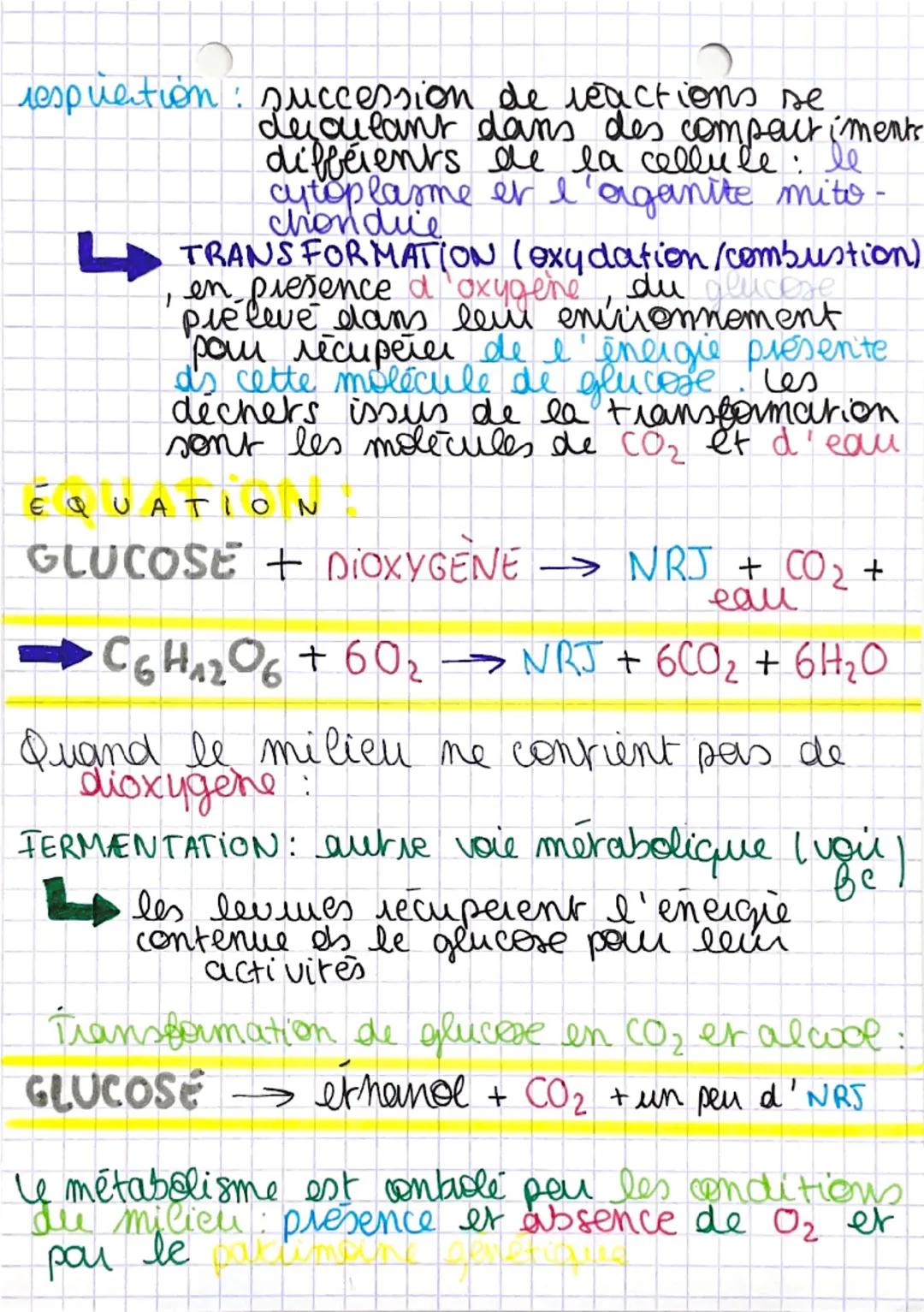 --- OCR Start ---
A
SVT
le métabolisme des
cellules
eval: 1104
ch3
METABOLISME: ensemble des reactions qui se
découlent dans le milieu intet