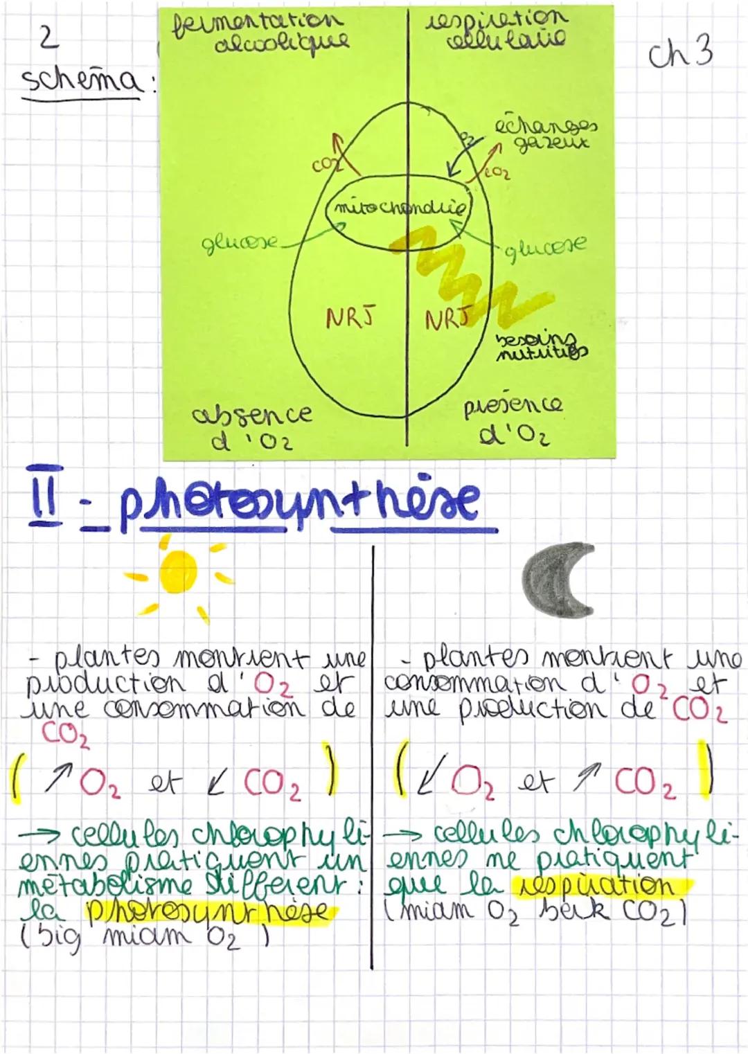 --- OCR Start ---
A
SVT
le métabolisme des
cellules
eval: 1104
ch3
METABOLISME: ensemble des reactions qui se
découlent dans le milieu intet