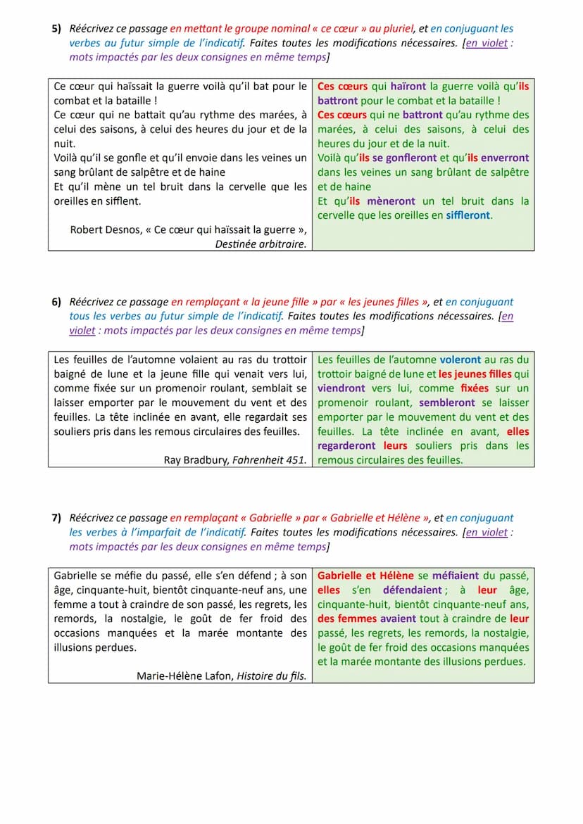 * Objectif brevet Réécriture: mélange de consignes
Exercices et corrigés
Exercices
1) Réécrivez ce passage en remplaçant « la dame » par « l