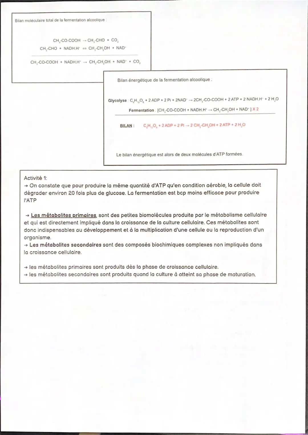 S1.4 LA FERMENTATION
A. La fermentation lactique
→ Lors de la fermentation lactique, le co-enzyme réduit NADH, H+ est oxydé sous l'action de
