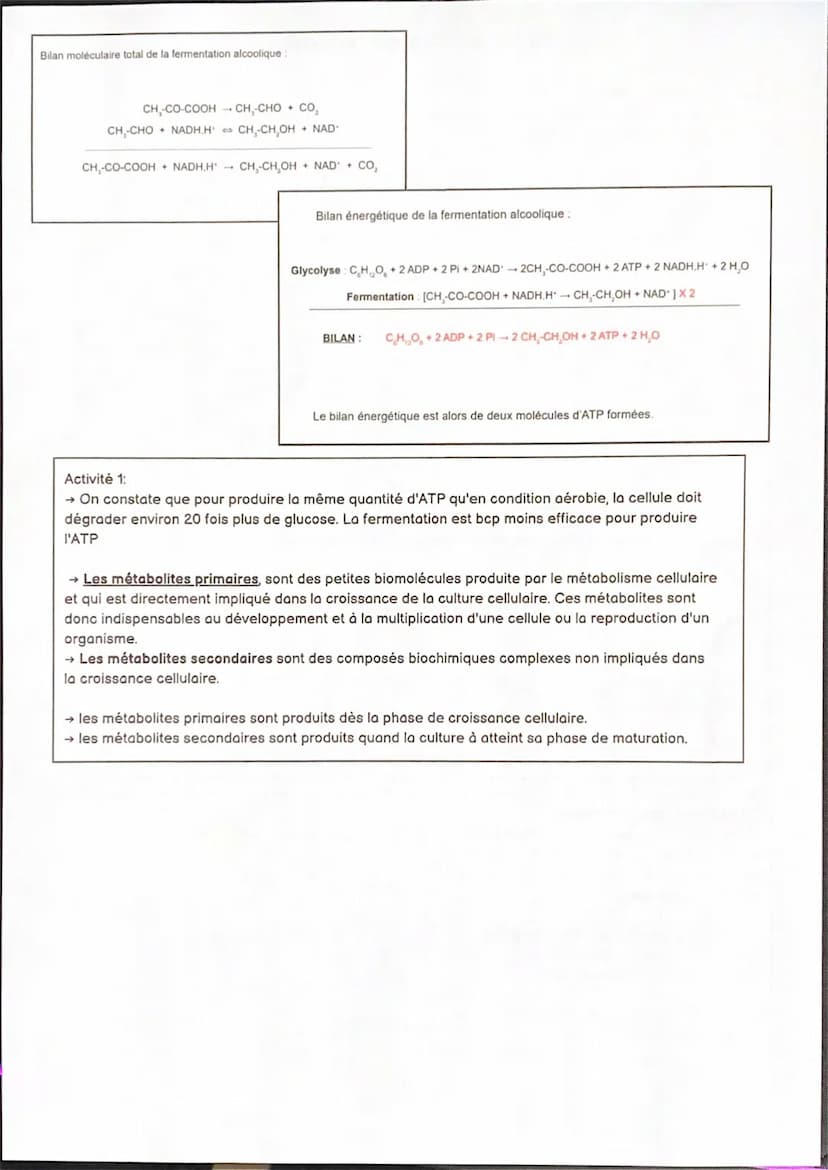 S1.4 LA FERMENTATION
A. La fermentation lactique
→ Lors de la fermentation lactique, le co-enzyme réduit NADH, H+ est oxydé sous l'action de