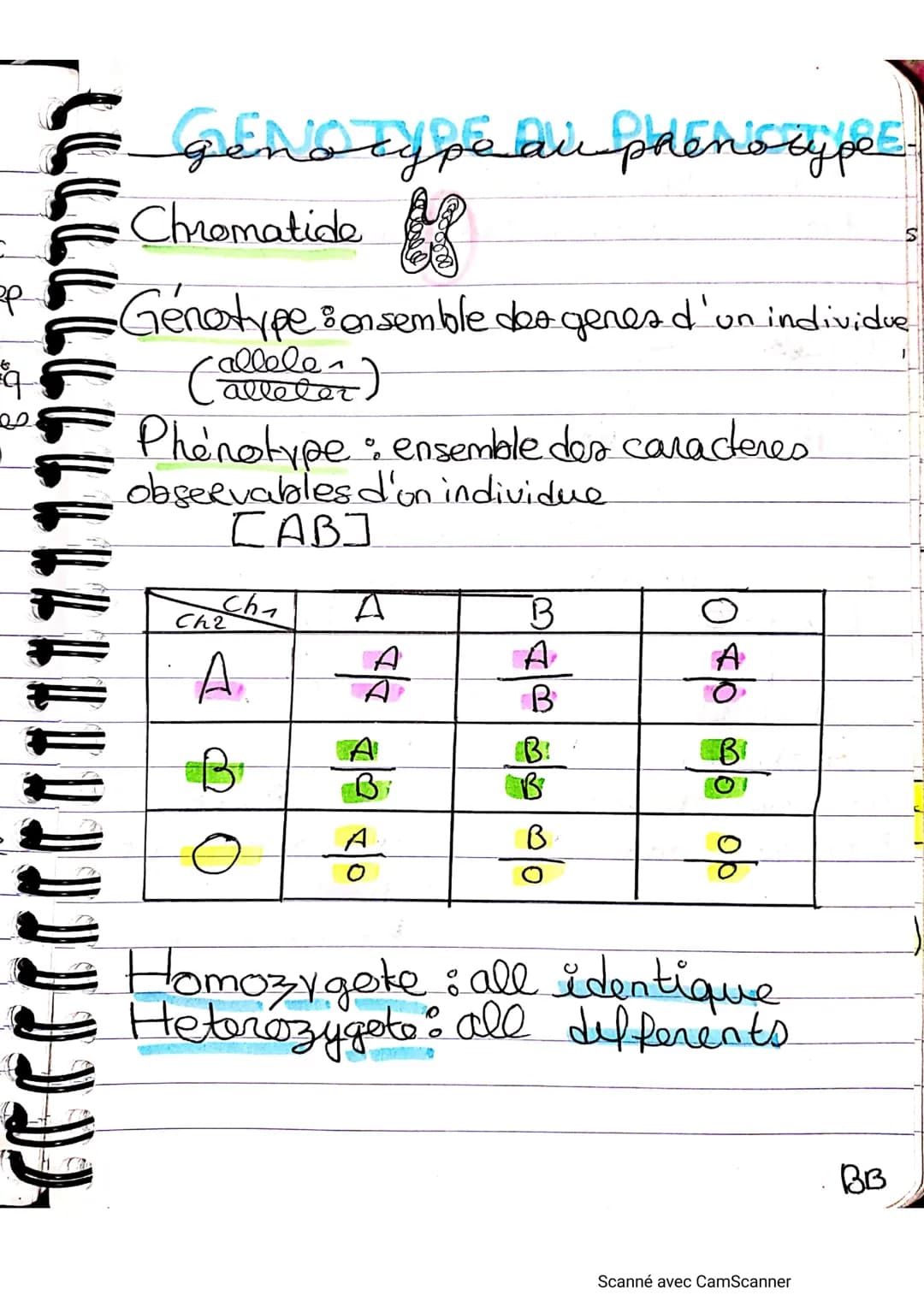 op
مه
genotype au prenscype
дет
Chromatide
Genotype Bonsemble dea genes d'un individue
(o
allele-
alleter
Phénotype : ensemble des caractere