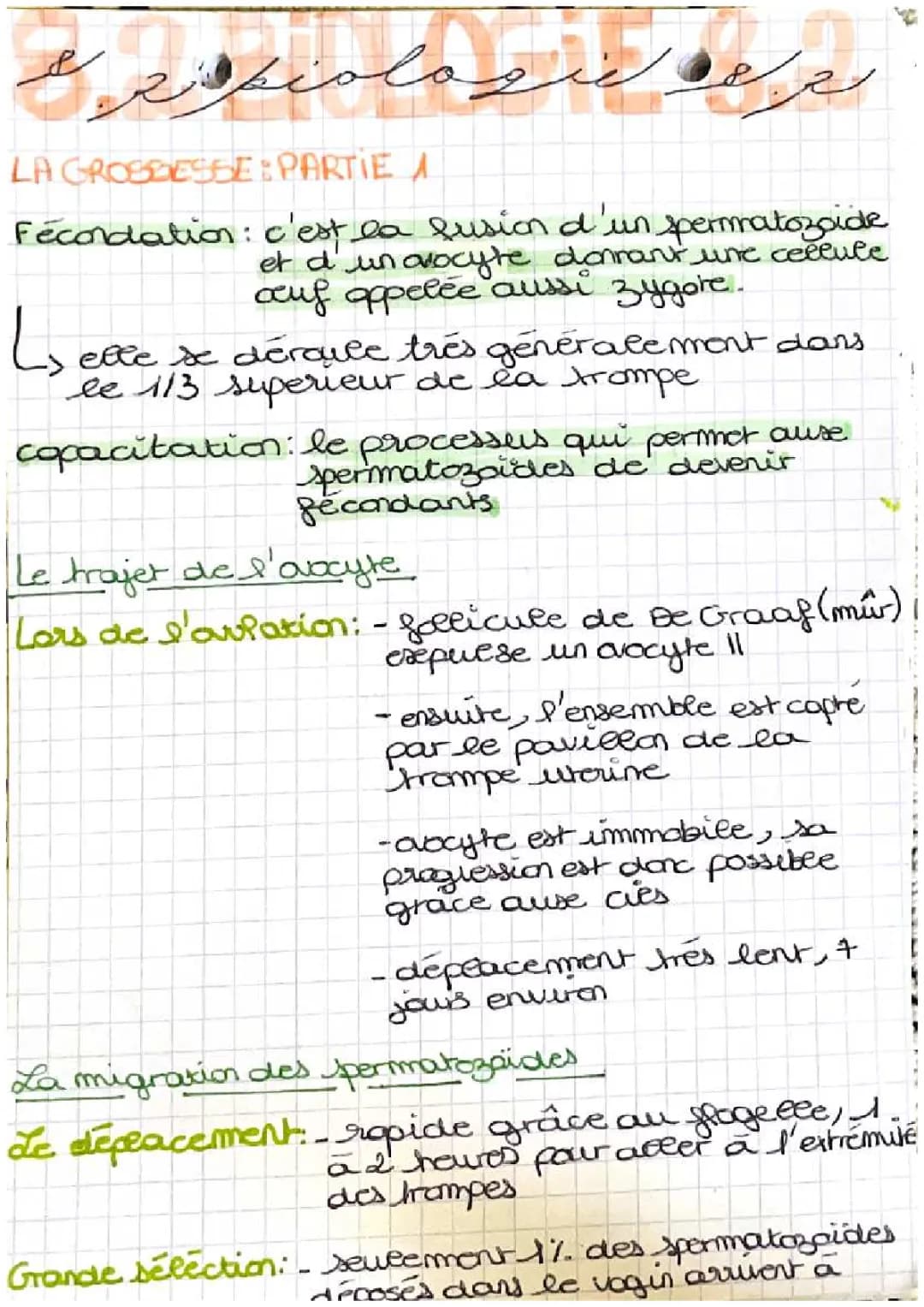 Tout Sur la Fécondation : Combien de Temps Après Rapport et Plus !