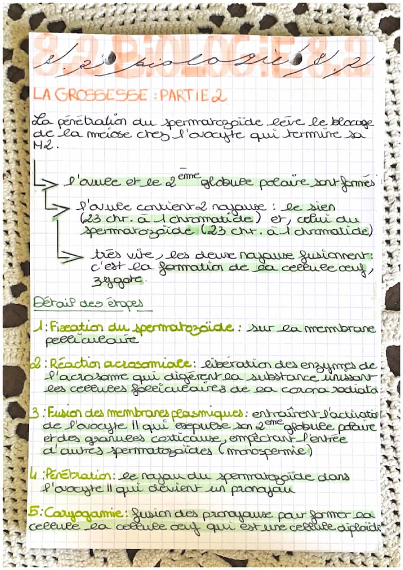 خرید
وبدا المنهم من الان
LA GROSBIESSE: PARTIE A
Fécondation : c'est la fusion d'un spermatozoide
et d'un ovocyte donnant une cellule
auf ap