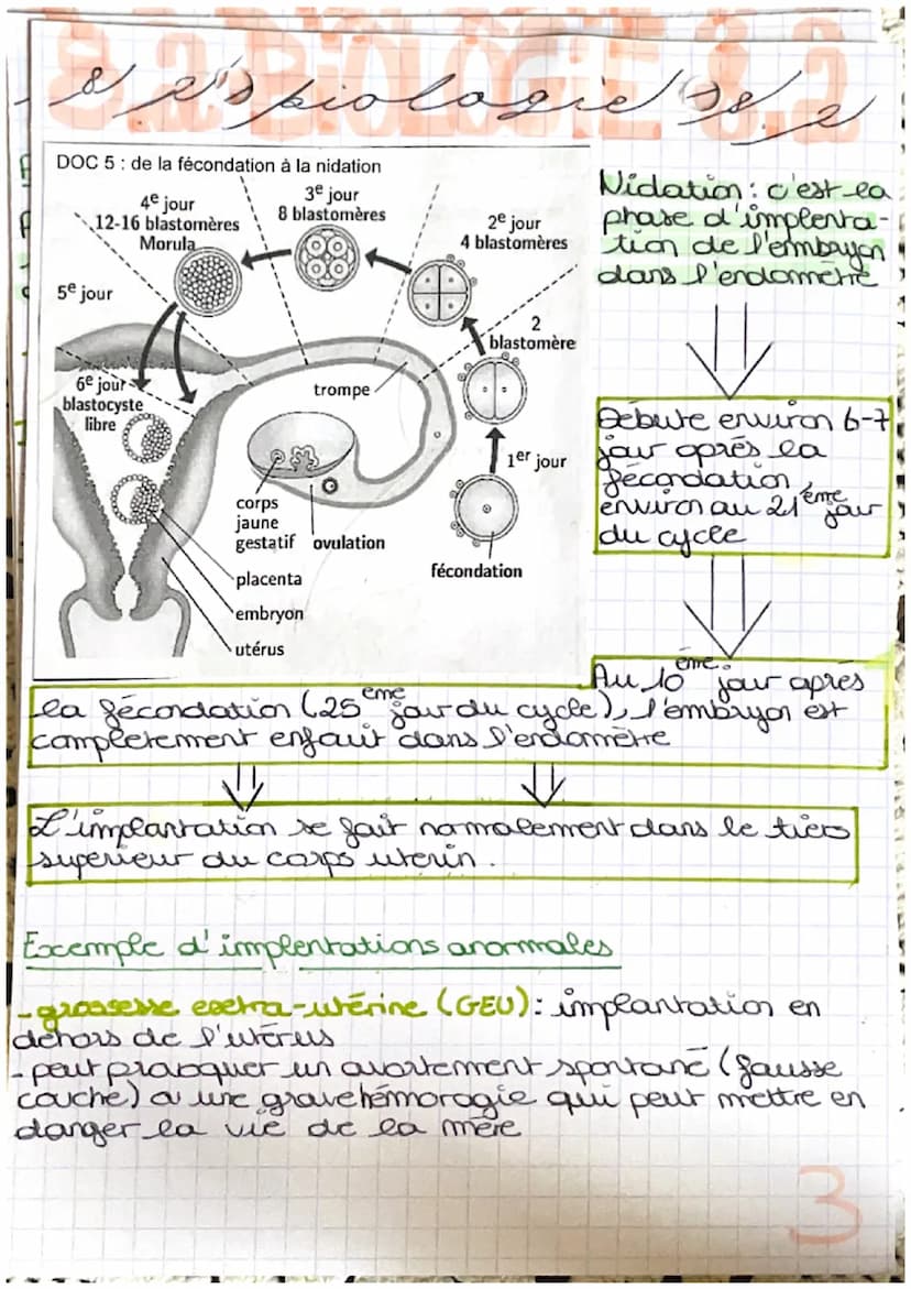 خرید
وبدا المنهم من الان
LA GROSBIESSE: PARTIE A
Fécondation : c'est la fusion d'un spermatozoide
et d'un ovocyte donnant une cellule
auf ap