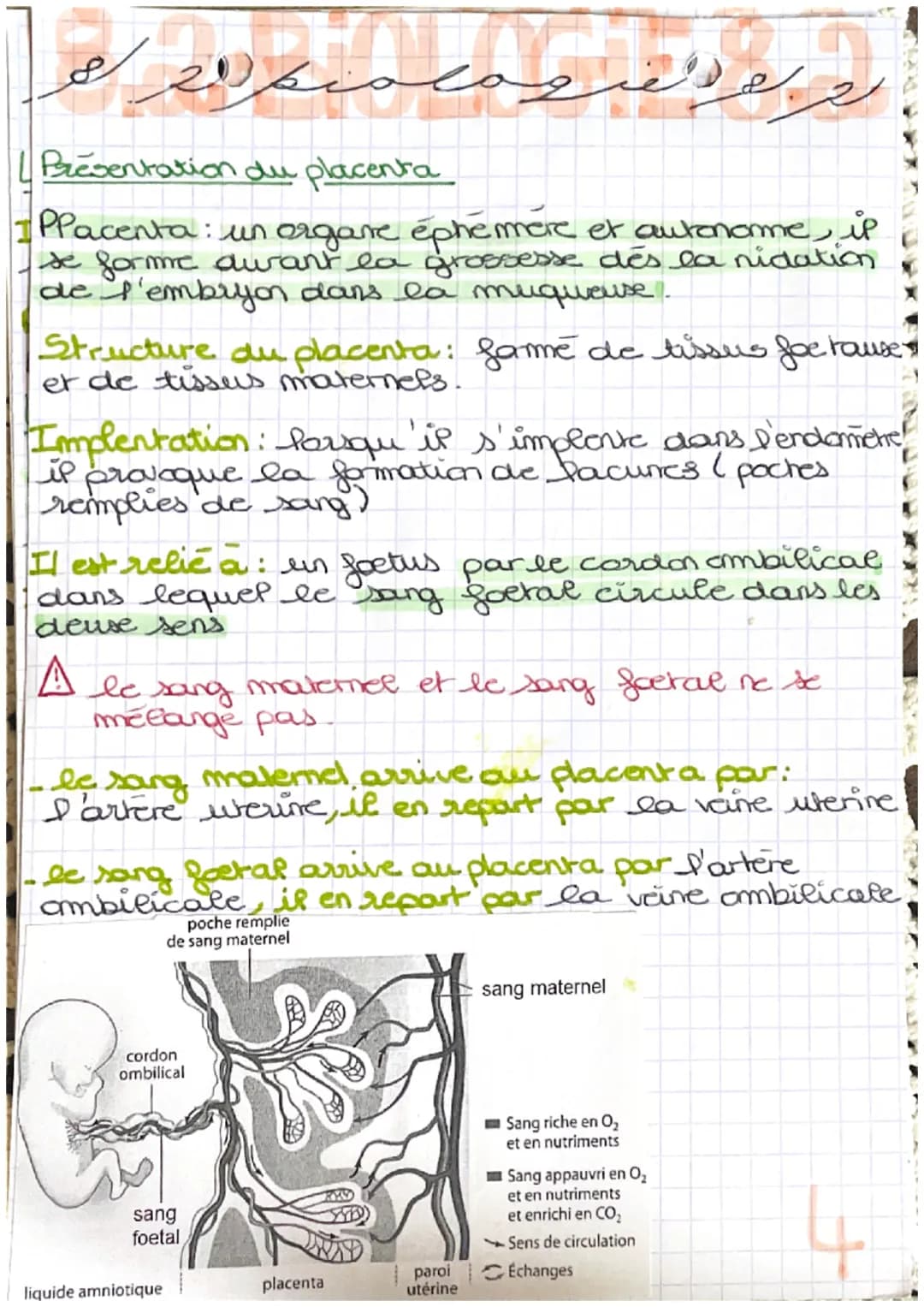 خرید
وبدا المنهم من الان
LA GROSBIESSE: PARTIE A
Fécondation : c'est la fusion d'un spermatozoide
et d'un ovocyte donnant une cellule
auf ap