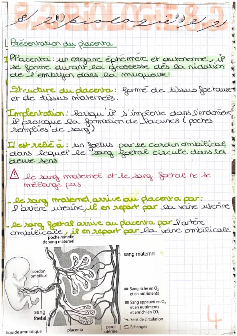 خرید
وبدا المنهم من الان
LA GROSBIESSE: PARTIE A
Fécondation : c'est la fusion d'un spermatozoide
et d'un ovocyte donnant une cellule
auf ap