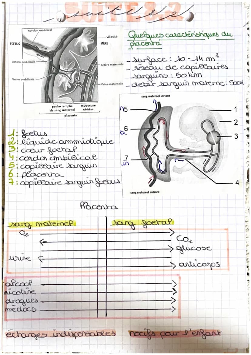 خرید
وبدا المنهم من الان
LA GROSBIESSE: PARTIE A
Fécondation : c'est la fusion d'un spermatozoide
et d'un ovocyte donnant une cellule
auf ap