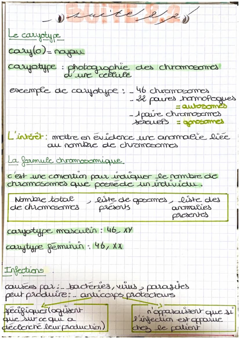 خرید
وبدا المنهم من الان
LA GROSBIESSE: PARTIE A
Fécondation : c'est la fusion d'un spermatozoide
et d'un ovocyte donnant une cellule
auf ap