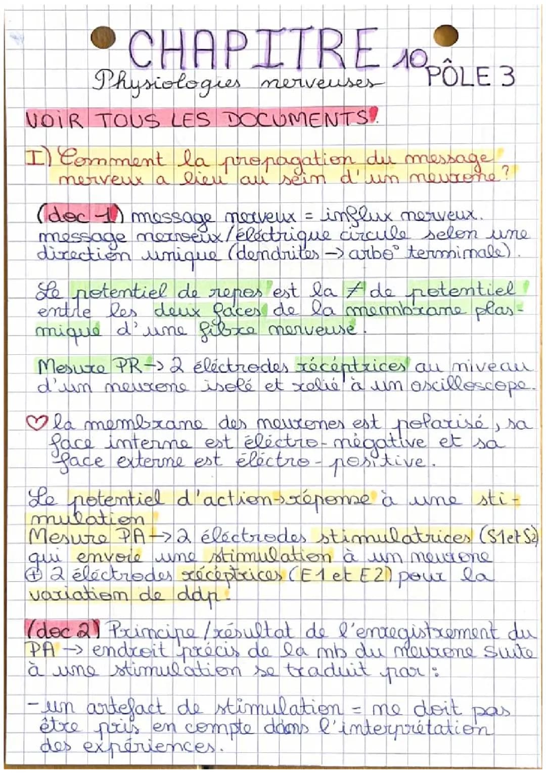 Physiologie Nerveuse pour Ados - Schéma, Propagation et Codage du Message Nerveux