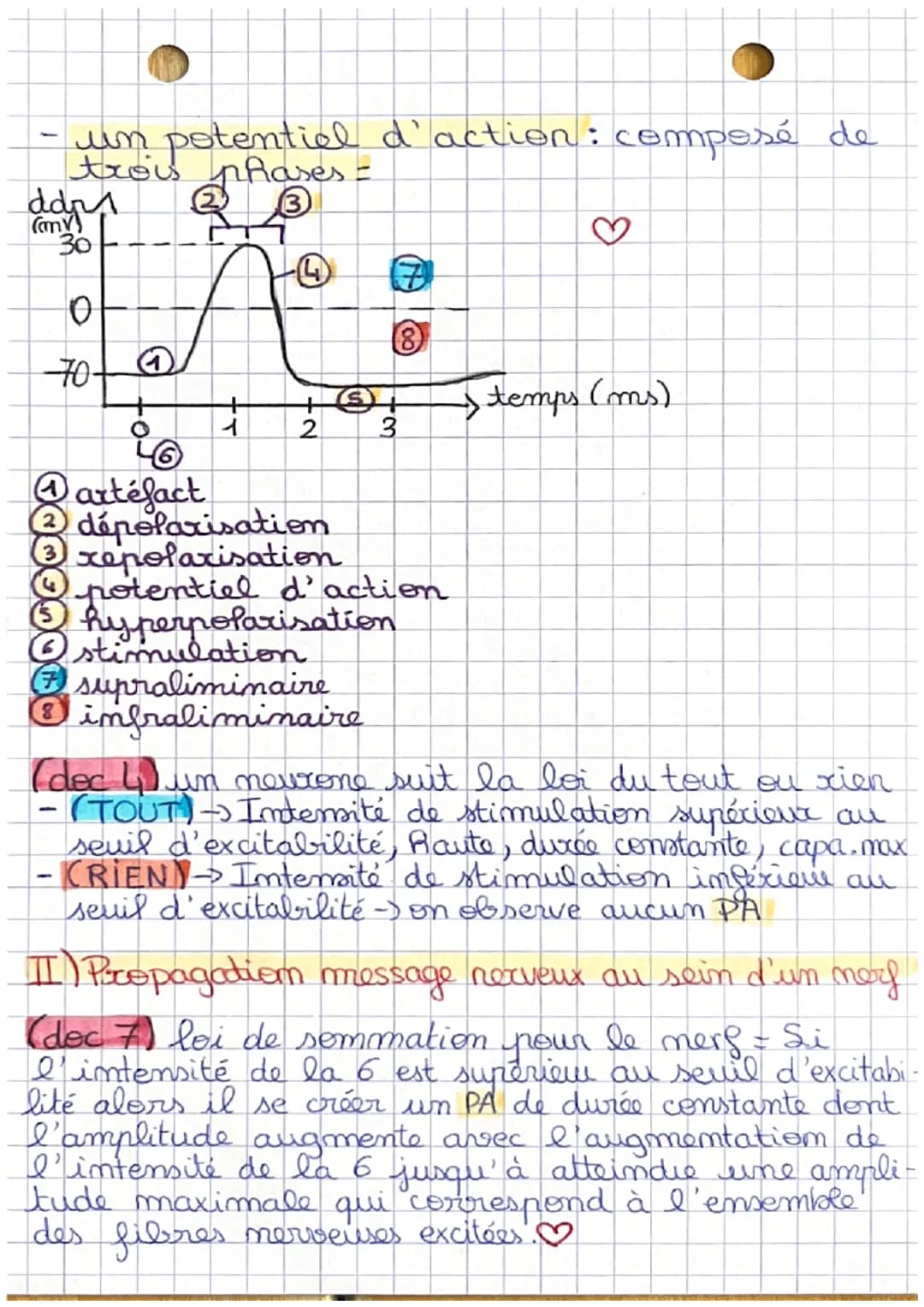 CHAPITRE 10 PÔLE 3
Physiologies nerveuses
VOIR TOUS LES DOCUMENTS?
I) Comment la propagation du message.
merveux a lieu au sein d'un neurone