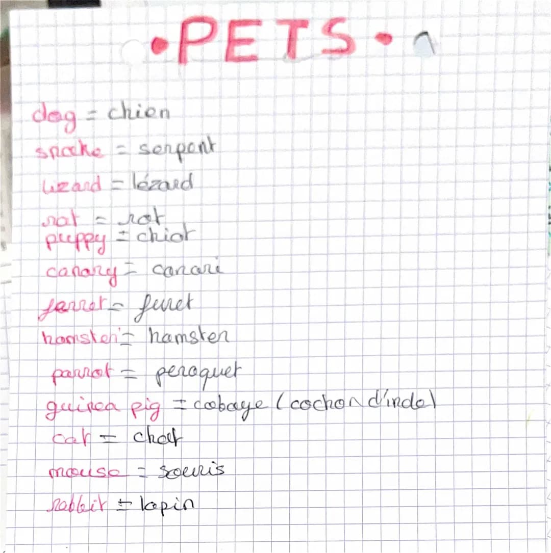 les animaux 