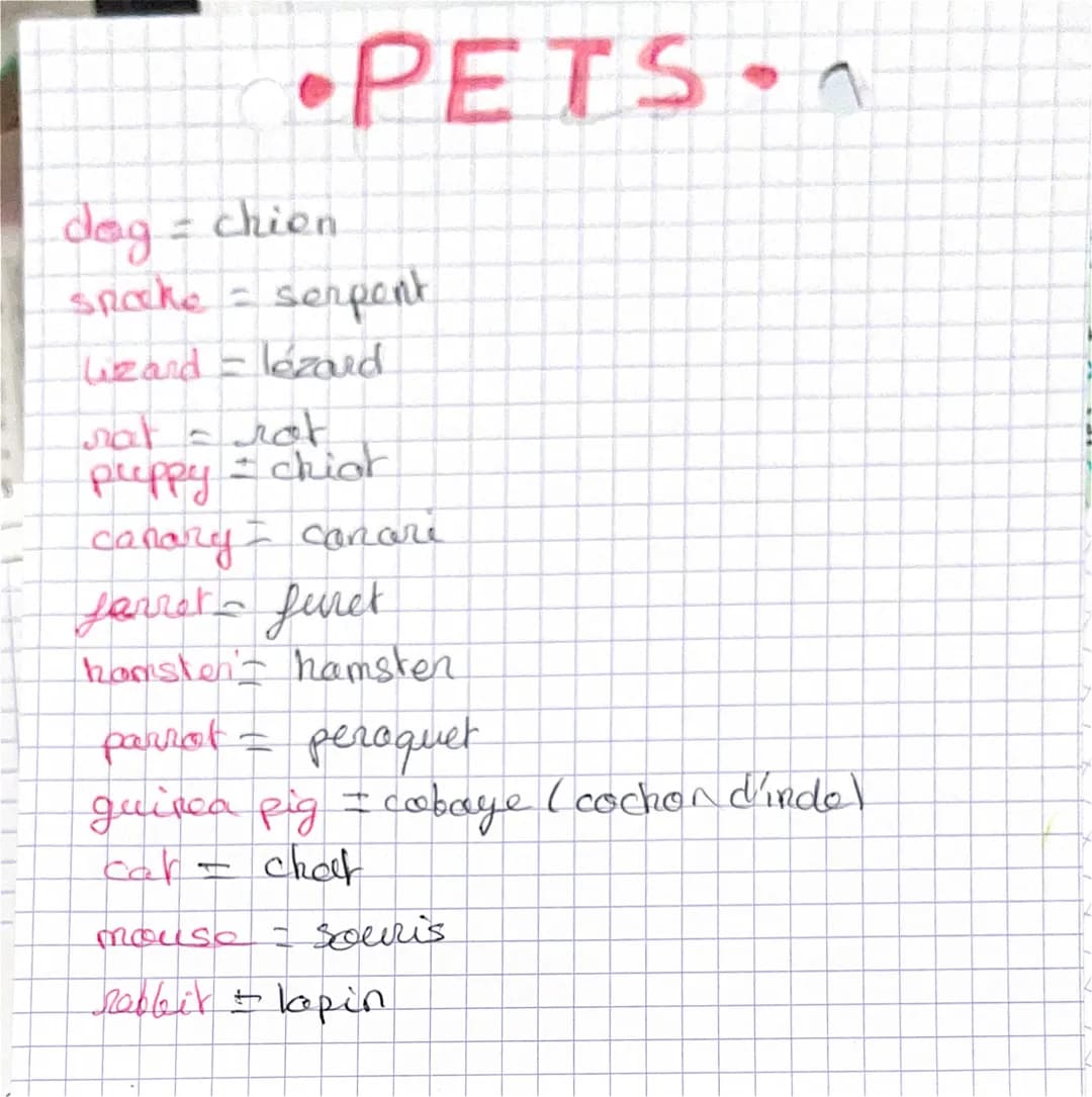 PETS
dog = chien
spacke - serpent
Lizard - lézard
nat - not
preppy
chior
I
canary = canari
Jarret furet
hamsten't hamster
parrot = peroquet
