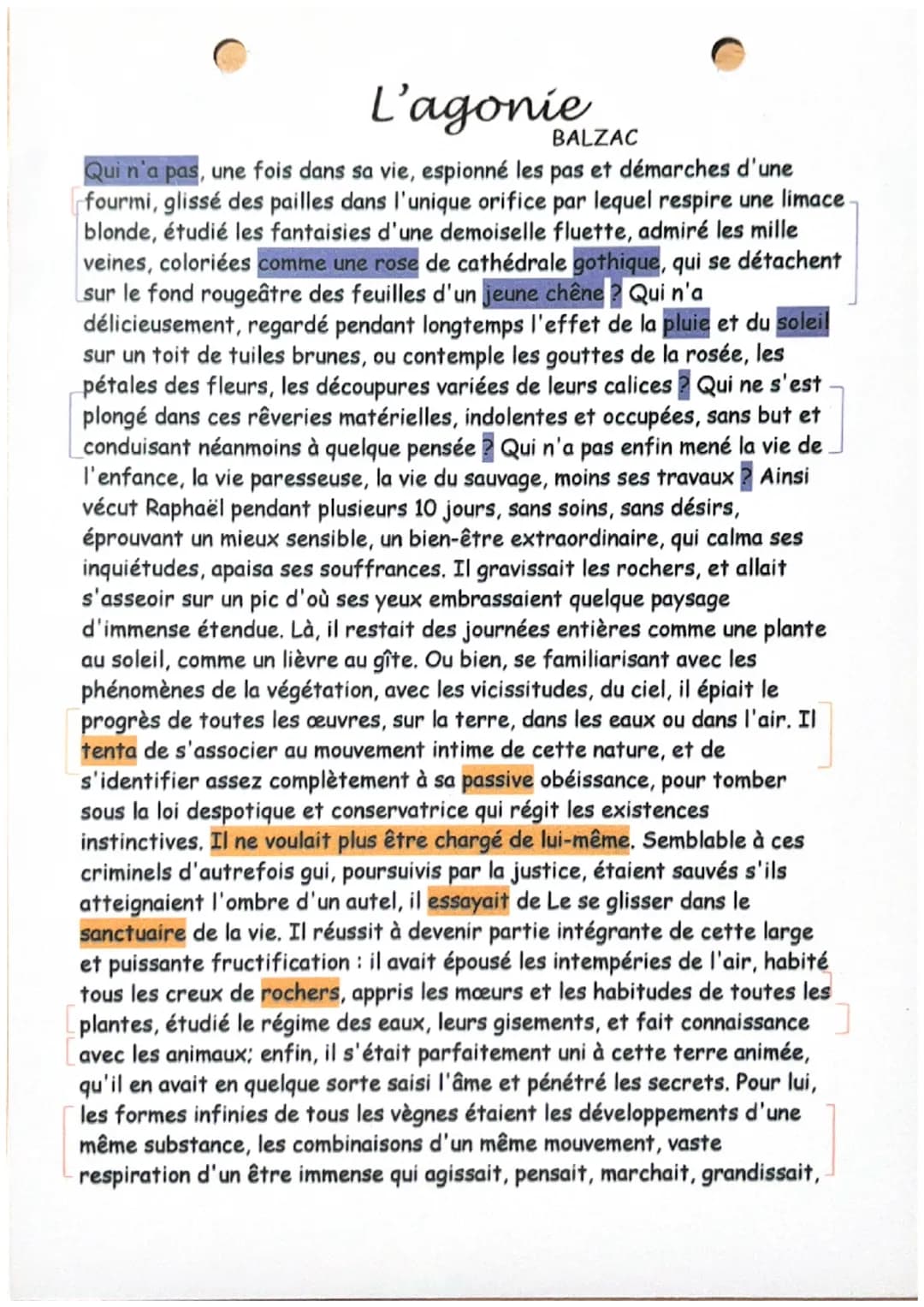 L'agonie
BALZAC
Qui n'a pas, une fois dans sa vie, espionné les pas et démarches d'une
fourmi, glissé des pailles dans l'unique orifice par 