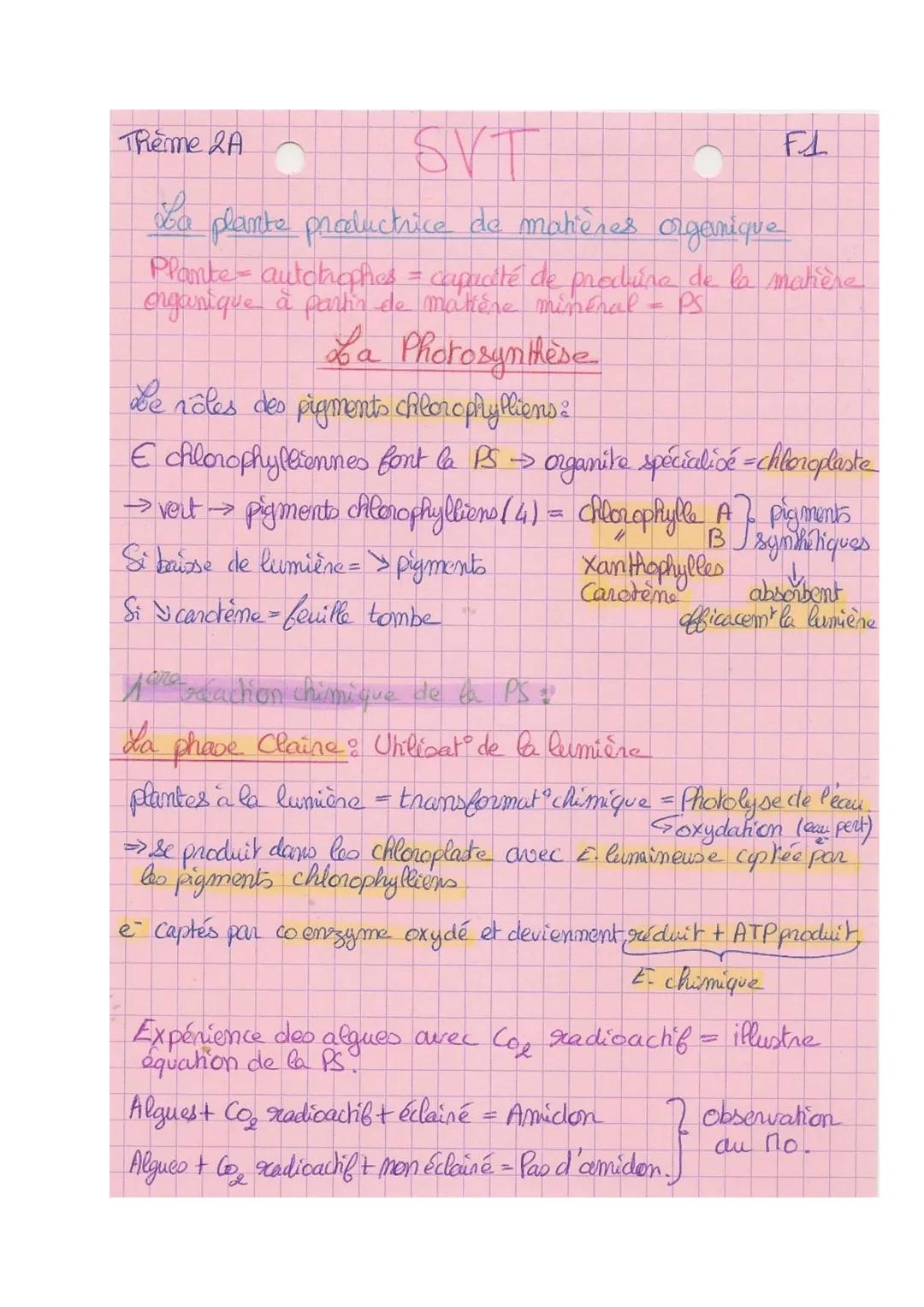 Theme 2A
SVT
La plante productrice de matières organique
Plante-autchophes = capacité de produire de la matière
organique à partir de matièr