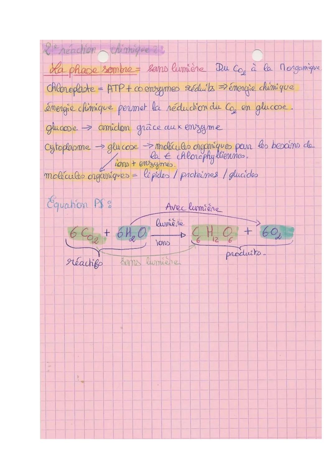 Theme 2A
SVT
La plante productrice de matières organique
Plante-autchophes = capacité de produire de la matière
organique à partir de matièr
