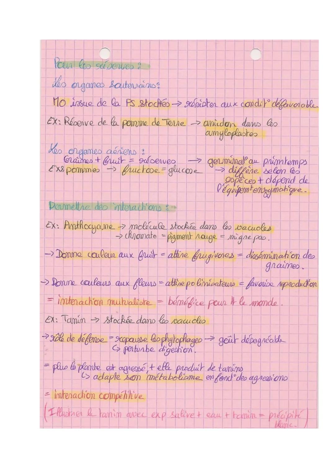 Theme 2A
SVT
La plante productrice de matières organique
Plante-autchophes = capacité de produire de la matière
organique à partir de matièr