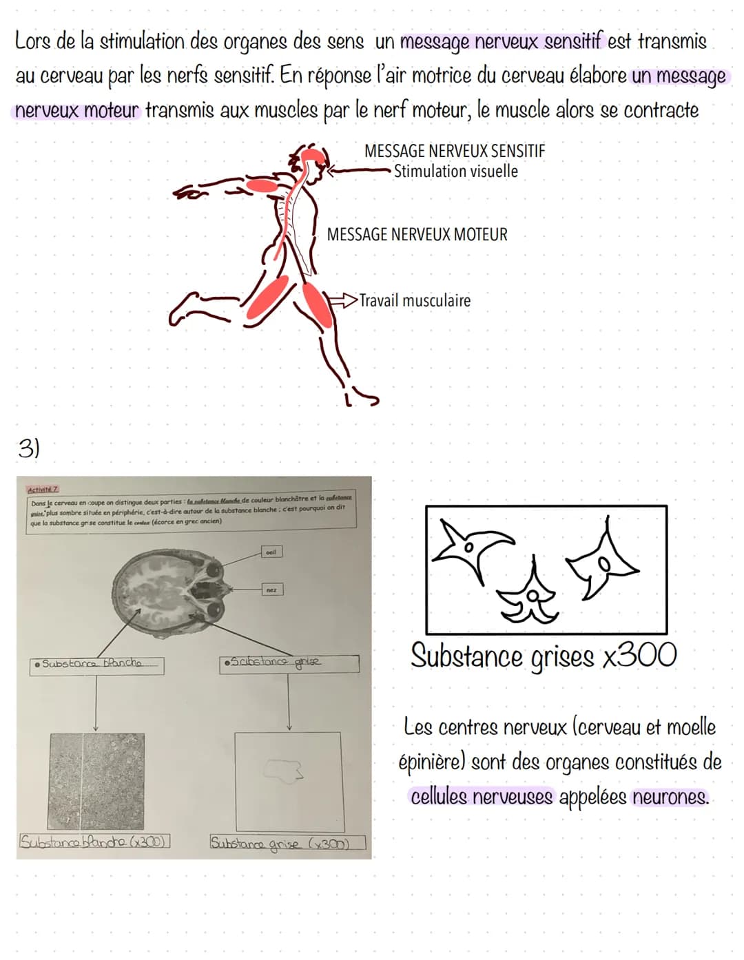 Le fonctionnement de l'organisme au cours de
l'effort physique
L'effort physique correspond à la réalisation d'un exercice soutenu qui
solli