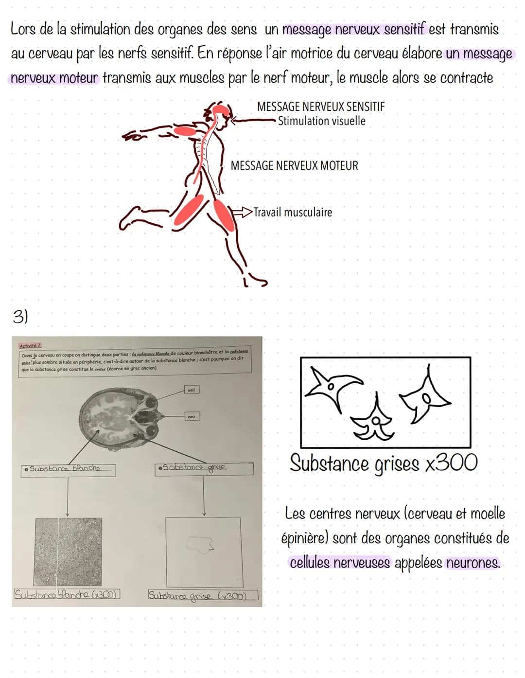 Fonctionnement de l'organisme et effort physique 5ème - Évaluation SVT PDF avec correction
