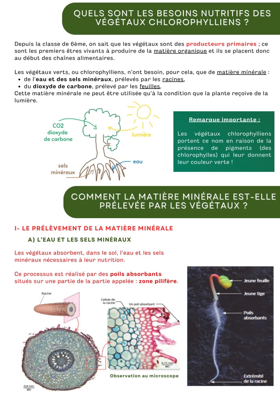# QUELS SONT LES BESOINS NUTRITIFS DES
# VÉGÉTAUX CHLOROPHYLLIENS ?

Depuis la classe de 6ème, on sait que les végétaux sont des producteurs