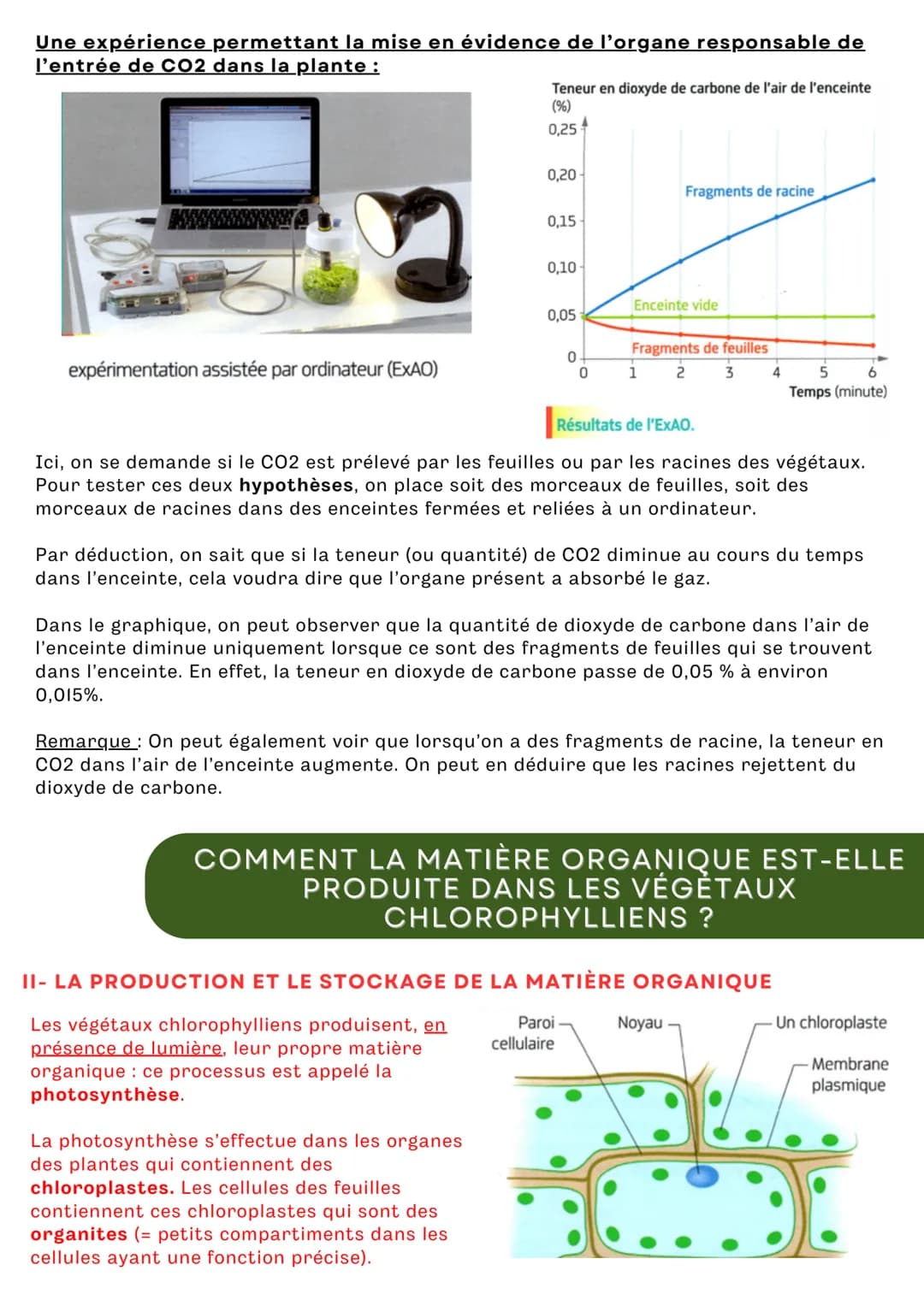 # QUELS SONT LES BESOINS NUTRITIFS DES
# VÉGÉTAUX CHLOROPHYLLIENS ?

Depuis la classe de 6ème, on sait que les végétaux sont des producteurs