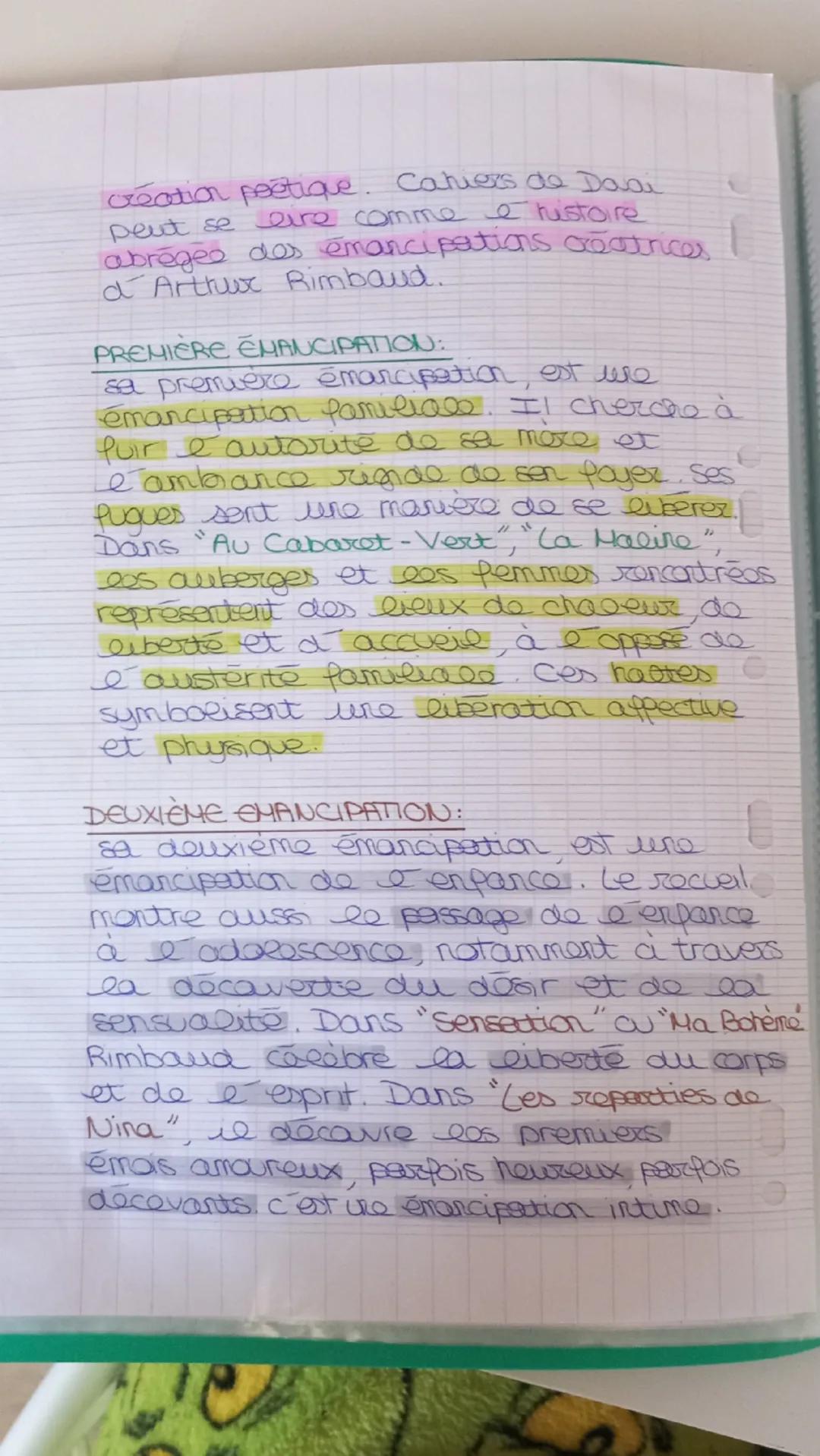 CAHIERS DE DOUAI
Parcours: Emancipations créatrices.
Fiche d'identité de l'œuvre:
titre: Cahiers de Douai
auteur: Arthur Rimbaud
publication