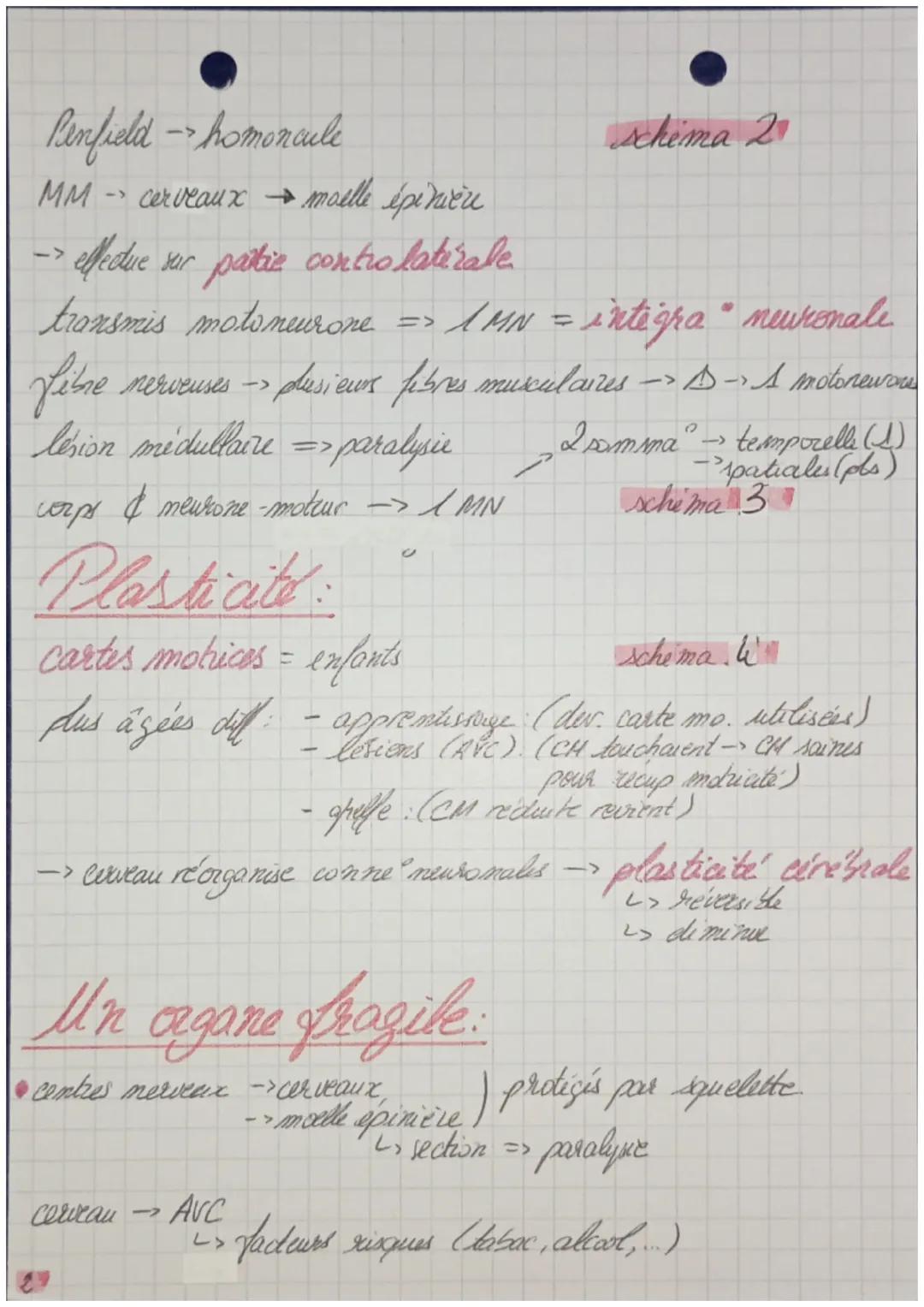 - mutri
- protid
- astrocytes
- activité

& gliales
oligodendrocytes
/
gaime, de
myeline

Le cerveau

10000

& ¢ de
microglia

Cerveau
del
i