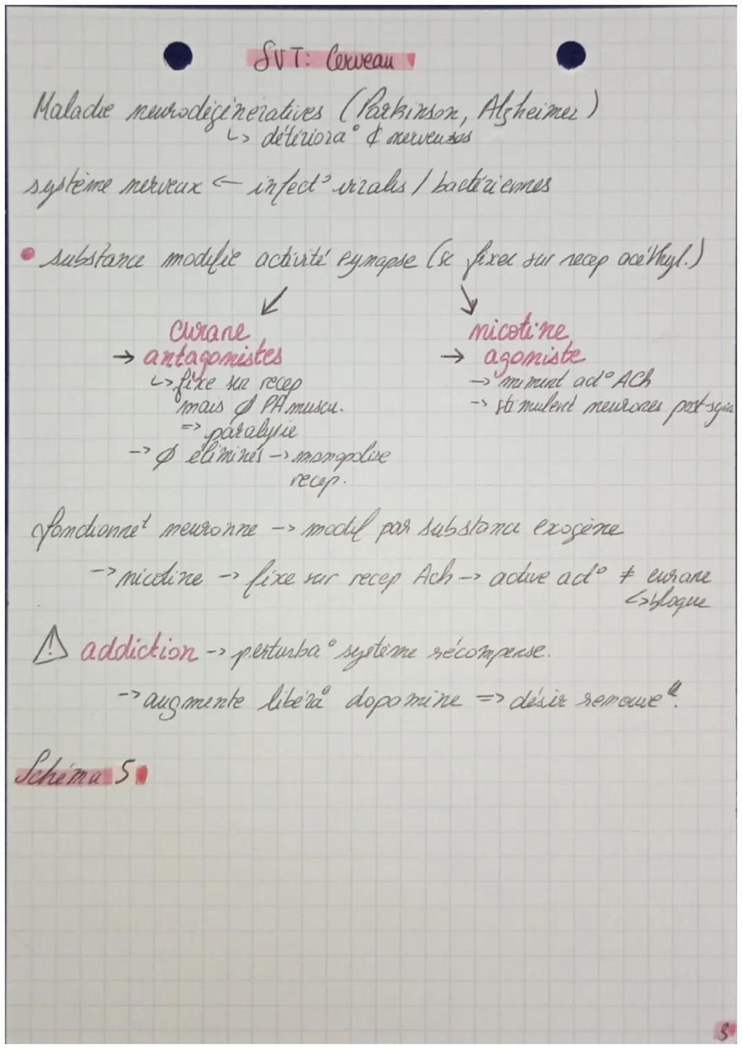- mutri
- protid
- astrocytes
- activité

& gliales
oligodendrocytes
/
gaime, de
myeline

Le cerveau

10000

& ¢ de
microglia

Cerveau
del
i