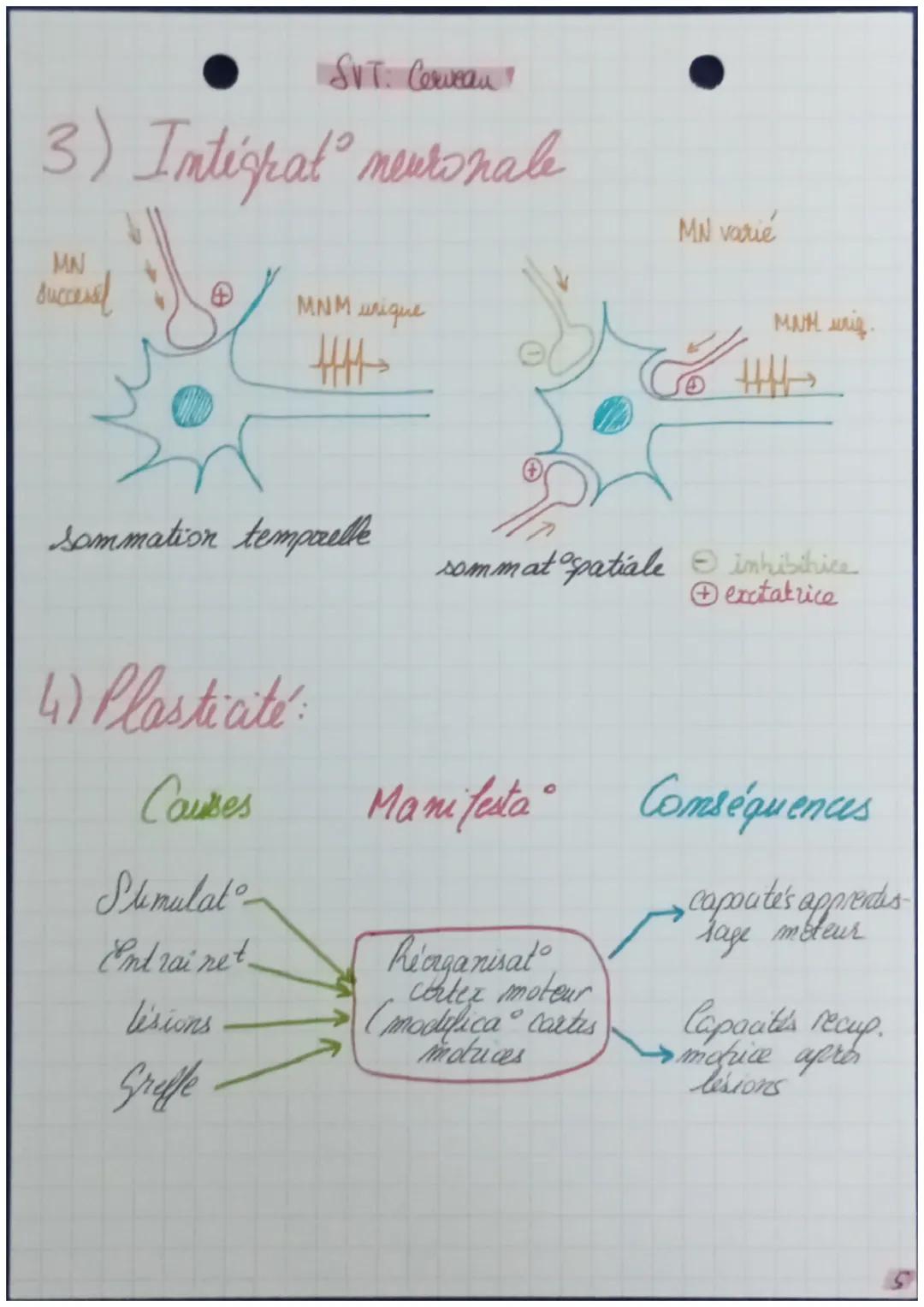 - mutri
- protid
- astrocytes
- activité

& gliales
oligodendrocytes
/
gaime, de
myeline

Le cerveau

10000

& ¢ de
microglia

Cerveau
del
i