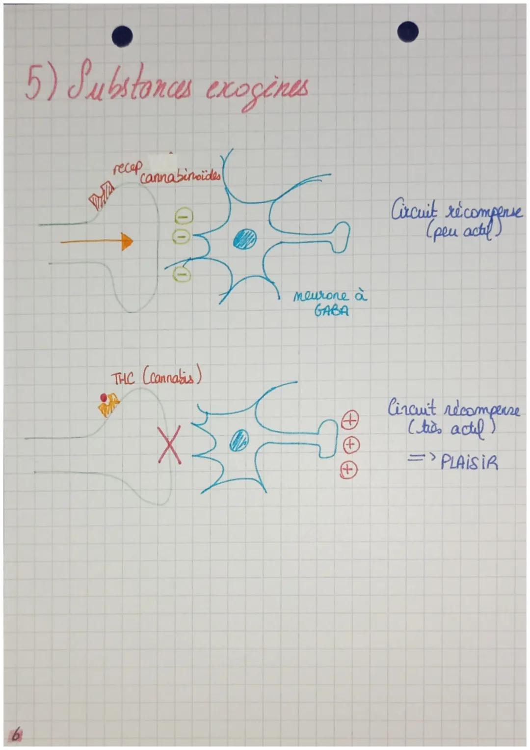 - mutri
- protid
- astrocytes
- activité

& gliales
oligodendrocytes
/
gaime, de
myeline

Le cerveau

10000

& ¢ de
microglia

Cerveau
del
i