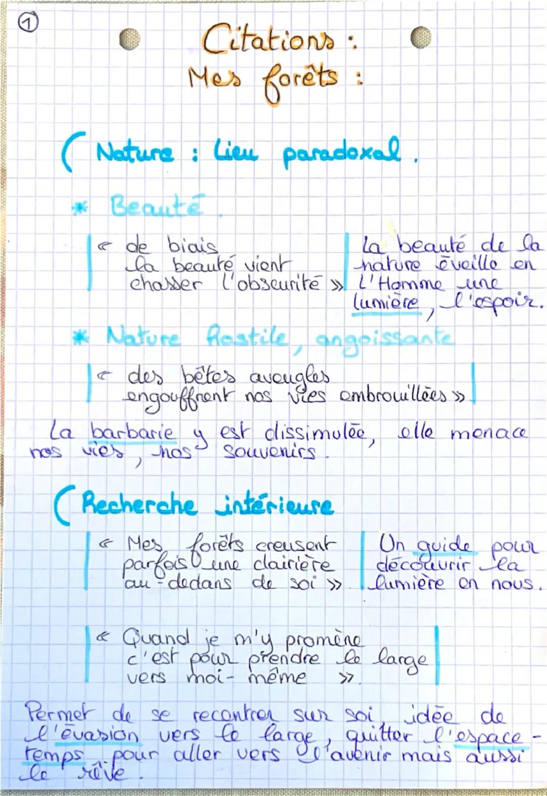 Citations:
Mes forêts:
(Nature : Lieu paradoxal.
* Beauté
← de biais
la beauté vient
chasser l'obscurité >>
* Nature hostile, angoissante
← 