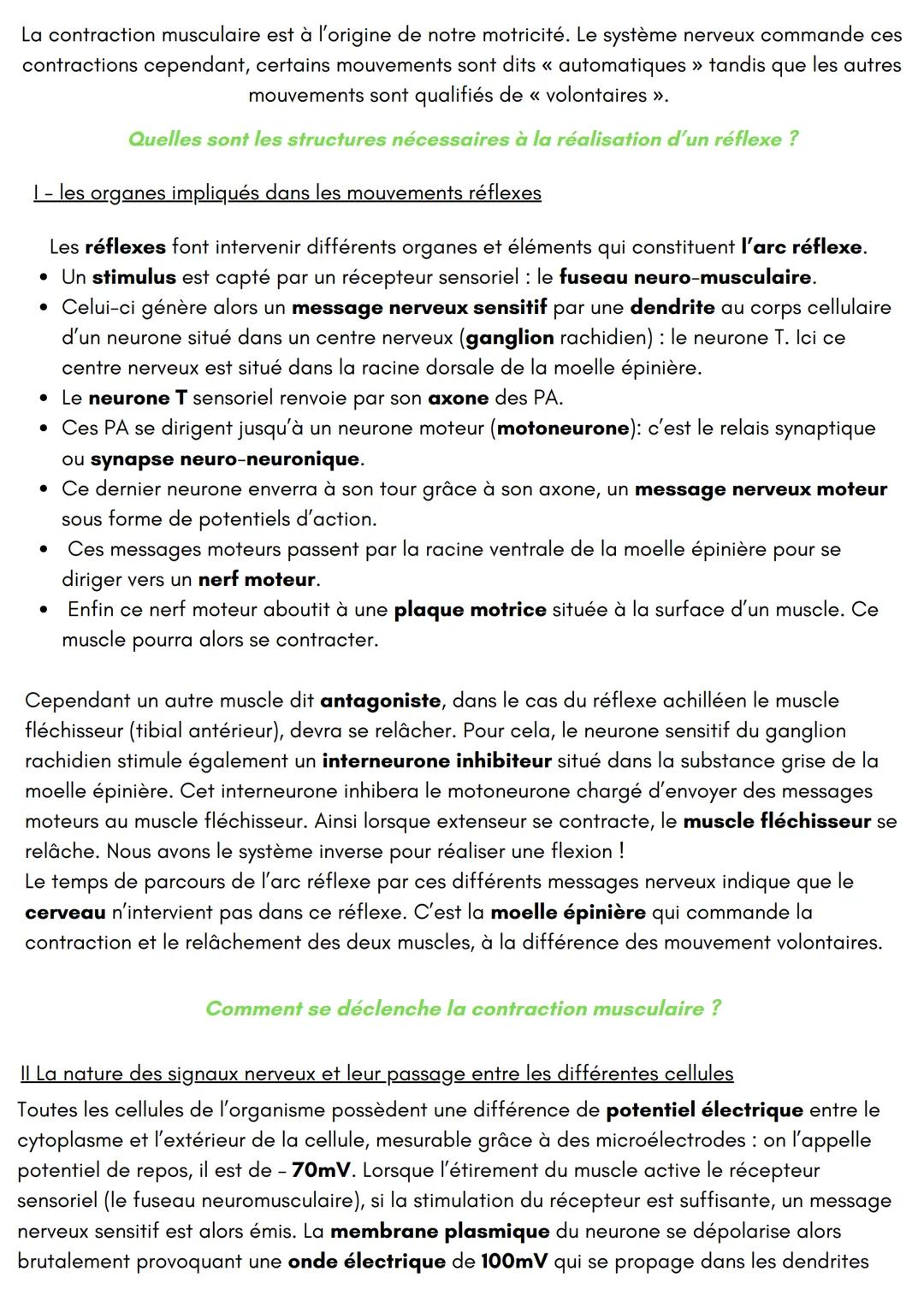 Comportements, 帆
mouvements et système nerveux
迎
会
NNN La contraction musculaire est à l'origine de notre motricité. Le système nerveux comm