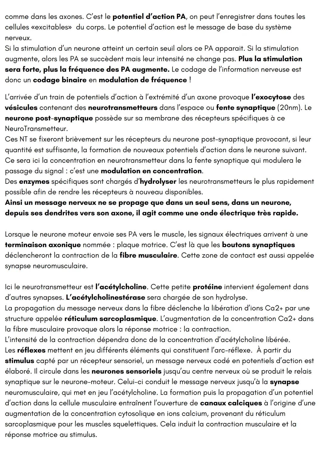 Comportements, 帆
mouvements et système nerveux
迎
会
NNN La contraction musculaire est à l'origine de notre motricité. Le système nerveux comm