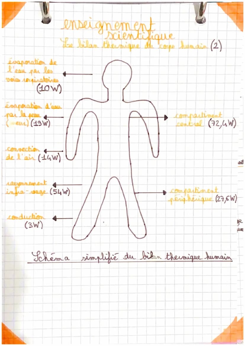 ●
enseignement
O scientifique
The bilan thermique du corps humain (1)
●
le milie
Les échanges thermiques entre l'organisare at
Les échanges 