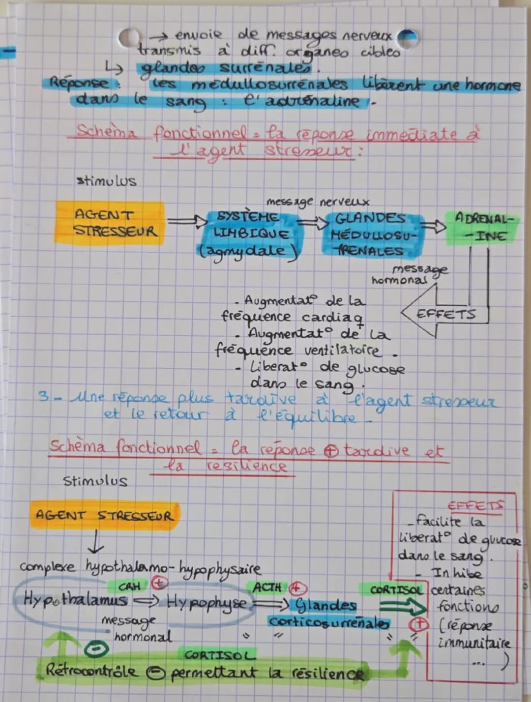 --- OCR Start ---
Comportement
integree
SVT theine 3
et stress vers une vision
de el organisme.
Quand poler de stress.
Perturbation de l'env