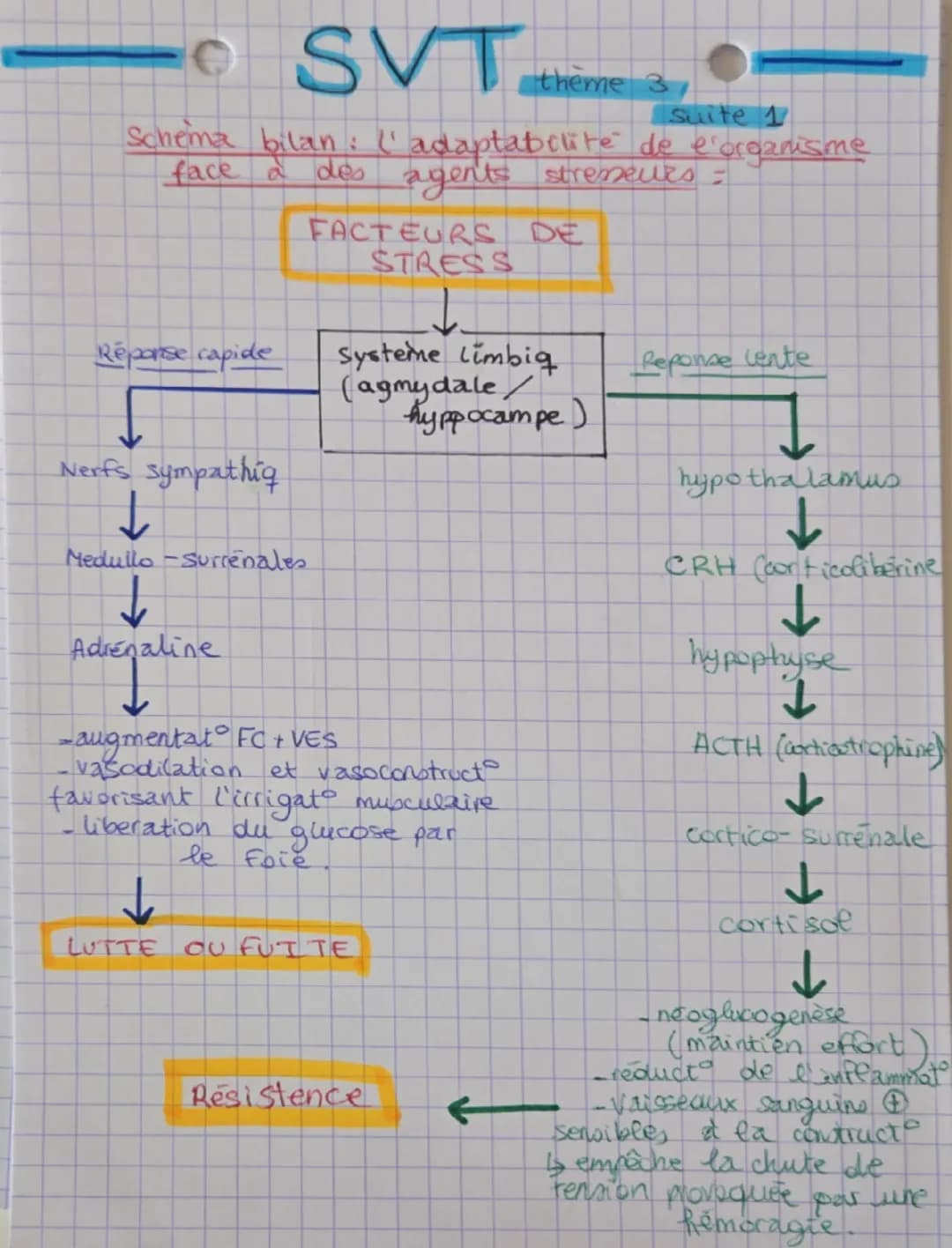 --- OCR Start ---
Comportement
integree
SVT theine 3
et stress vers une vision
de el organisme.
Quand poler de stress.
Perturbation de l'env