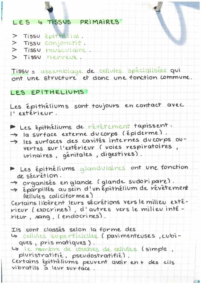 EPH
part. 1- chap. 2
LES NIVEAUX D'ORGANISATION
DU CORPS
►L'organisme (corps humain): ensemble
d'appareils / systèmes qui collaborent entre 