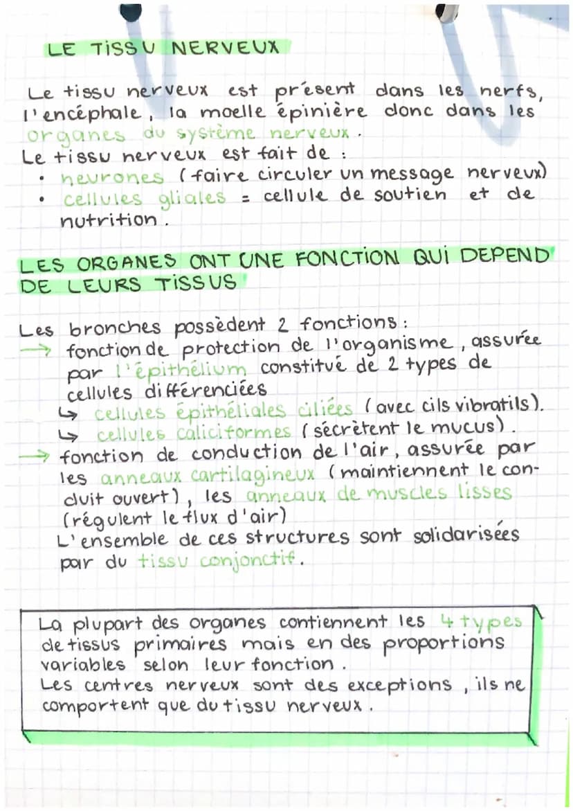 EPH
part. 1- chap. 2
LES NIVEAUX D'ORGANISATION
DU CORPS
►L'organisme (corps humain): ensemble
d'appareils / systèmes qui collaborent entre 