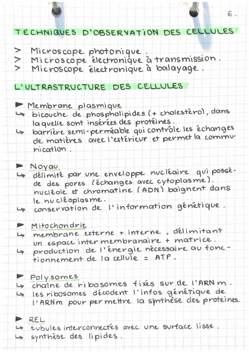 EPH
part. 1- chap. 2
LES NIVEAUX D'ORGANISATION
DU CORPS
►L'organisme (corps humain): ensemble
d'appareils / systèmes qui collaborent entre 