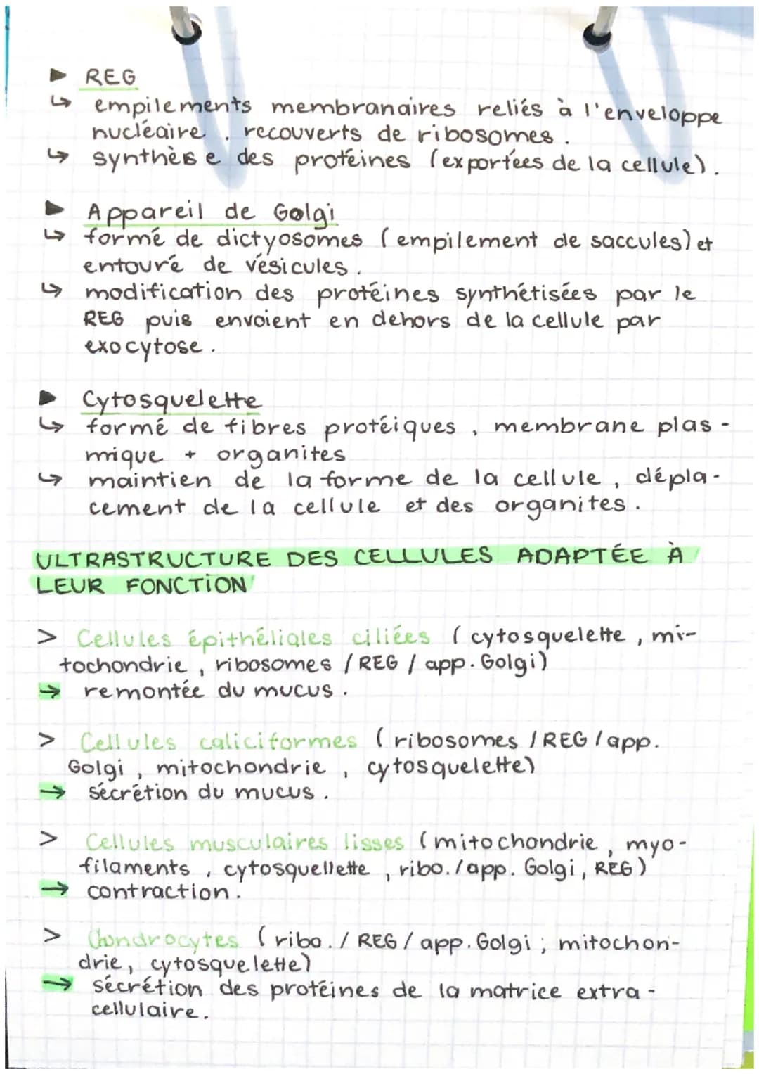 EPH
part. 1- chap. 2
LES NIVEAUX D'ORGANISATION
DU CORPS
►L'organisme (corps humain): ensemble
d'appareils / systèmes qui collaborent entre 