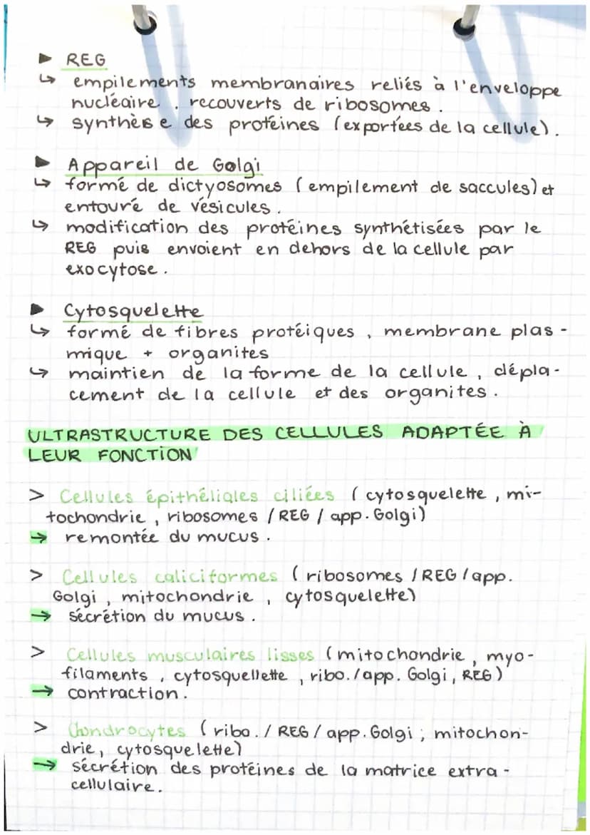 EPH
part. 1- chap. 2
LES NIVEAUX D'ORGANISATION
DU CORPS
►L'organisme (corps humain): ensemble
d'appareils / systèmes qui collaborent entre 