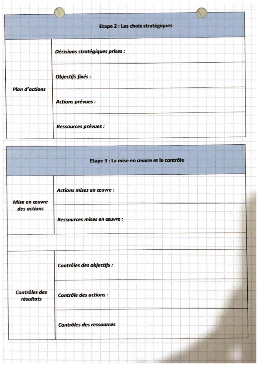 management
La stratégie se définit comme l'ensemble des décisions prises par les dirigeants et qui engagent le
devenir d'une organisation. L