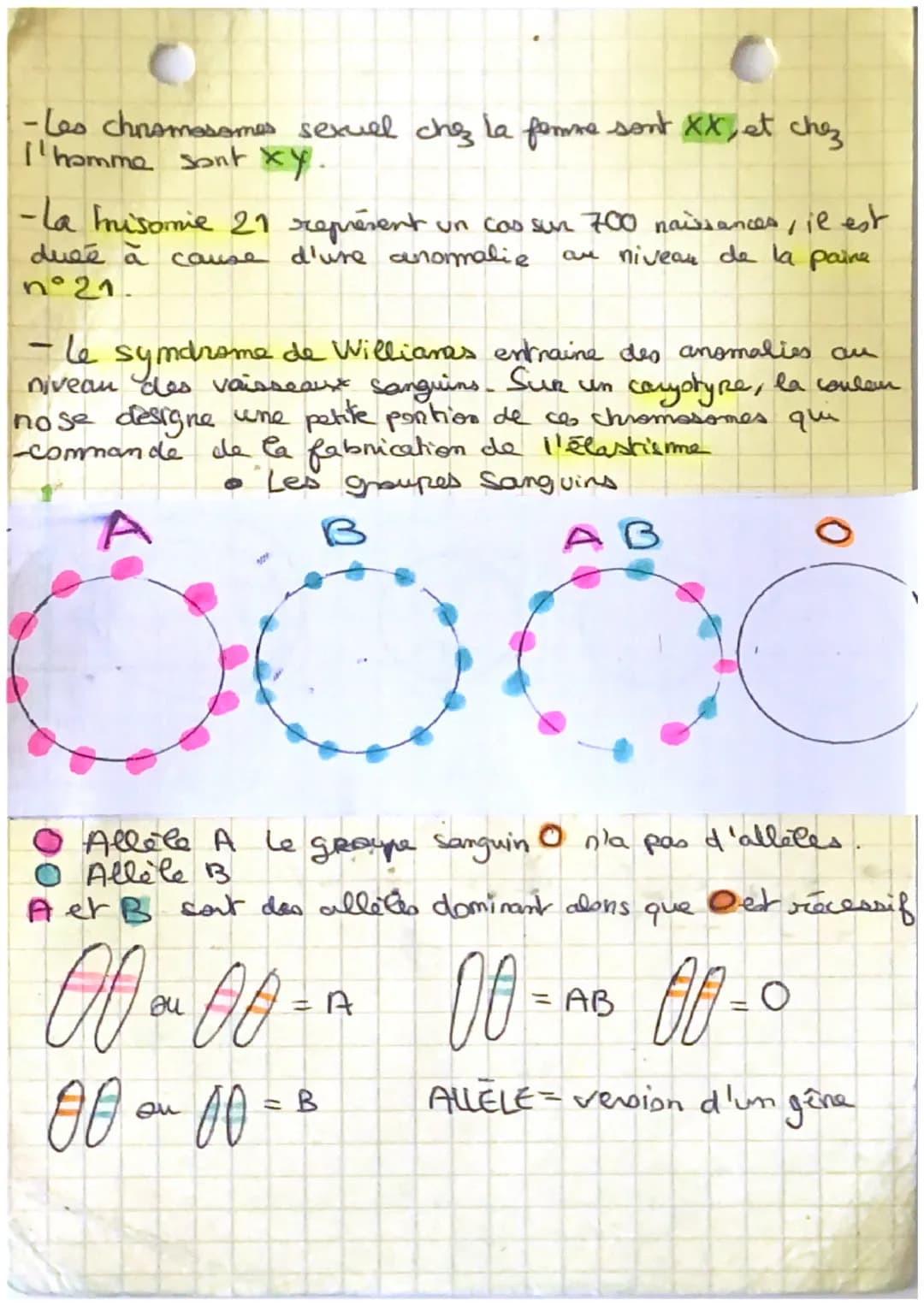 SVT
définitions
ADN Molécule qui ponte l'information héréditaine
RDE: Ensemble de chromosomes d'un individu
сагу гура
Phener Type: Ensemble 