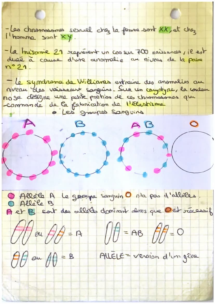 SVT
définitions
ADN Molécule qui ponte l'information héréditaine
RDE: Ensemble de chromosomes d'un individu
сагу гура
Phener Type: Ensemble 