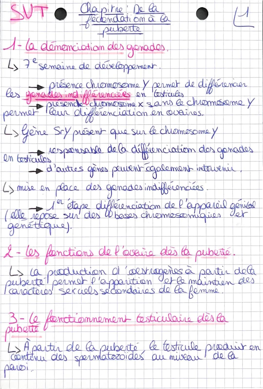 SUT
a
# Chapitre De la
eclendati om à la
puberte

## 1- la demenciation des genades.

$
\rightarrow 7^{e} semaine de développement.
$

$
\ri