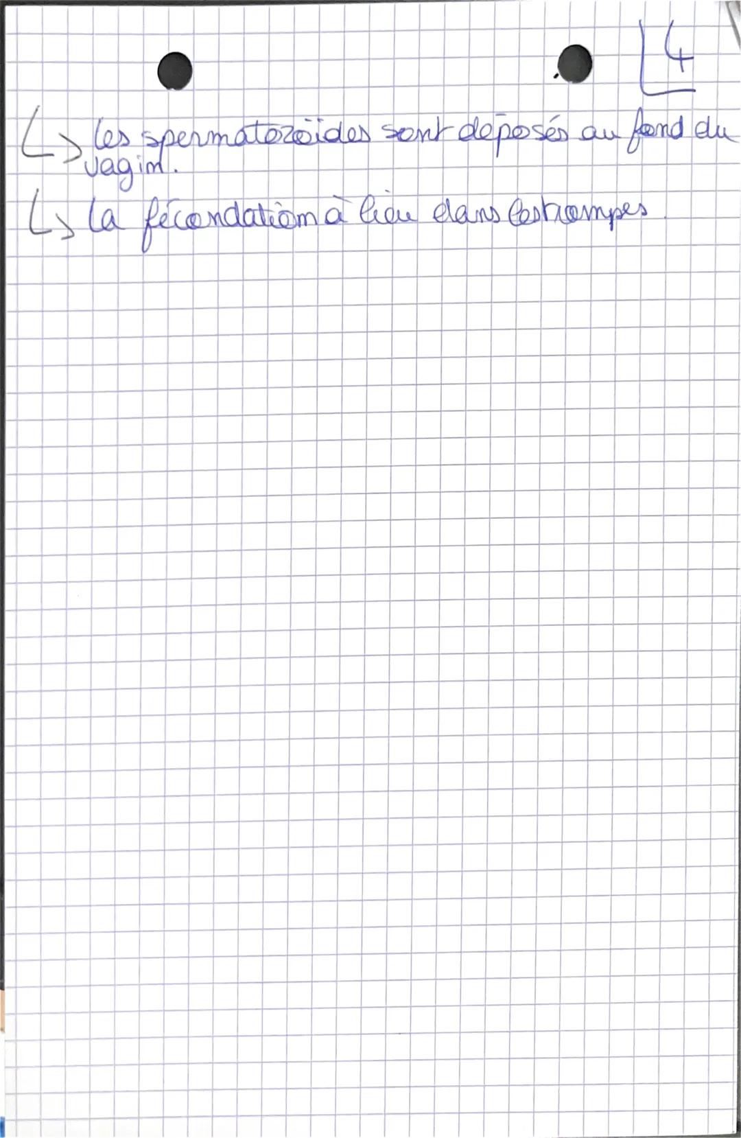 SUT
a
# Chapitre De la
eclendati om à la
puberte

## 1- la demenciation des genades.

$
\rightarrow 7^{e} semaine de développement.
$

$
\ri
