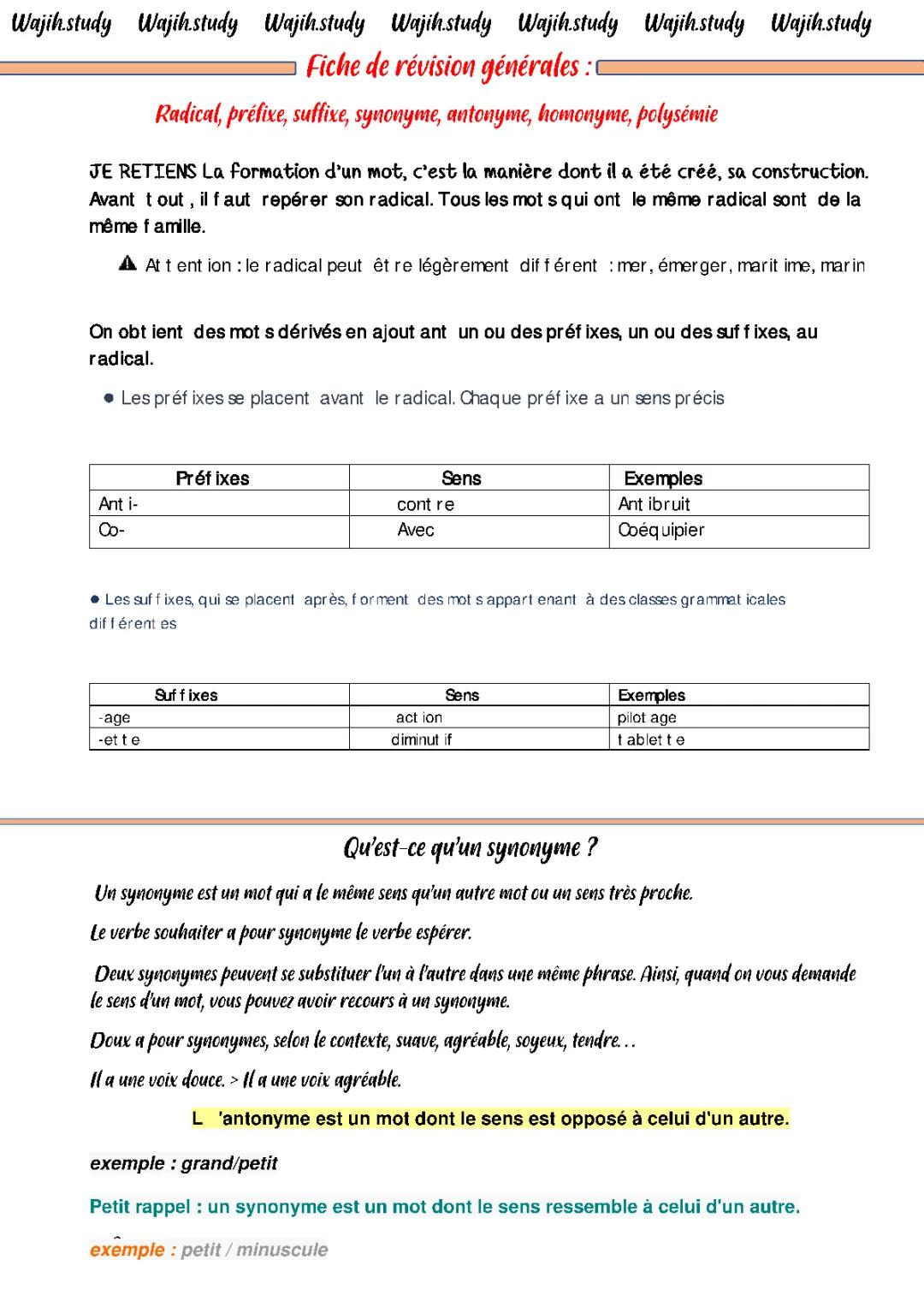 Formations des mots ( radical , préfixes , suffixes , antonymes , homonyme etc....