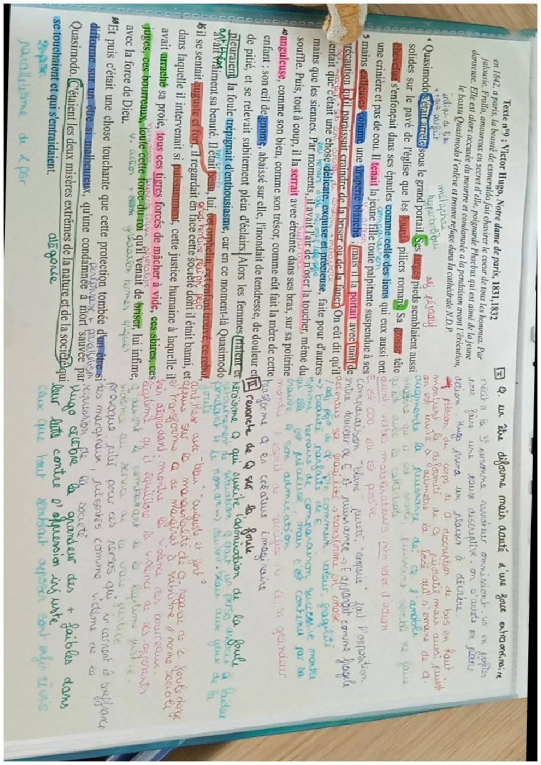Texte n°9: Victor Hugo, Notre dame de paris, 1831,1832
en 1842, a paris, la beauté de esmeralda fait chavirer le coeur de tous les hommes. P